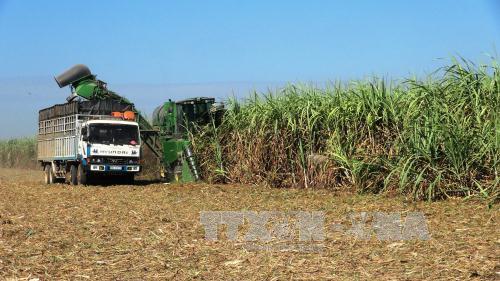 Phân bổ kinh phí đo đạc, cấp giấy chứng nhận quyền sử dụng đất ảnh 1
